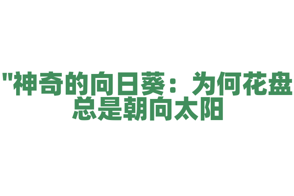 "神奇的向日葵：为何花盘总是朝向太阳？"